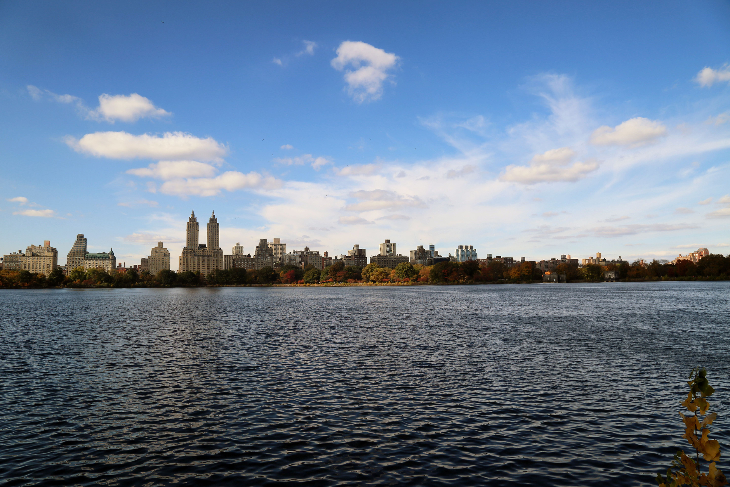 Central Park, NYC