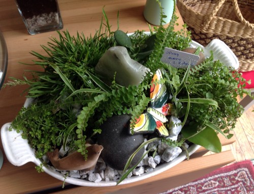 Miniature Bonsai and mini garden [Beginner] 🐛🐝🐞🌿🌱🌳