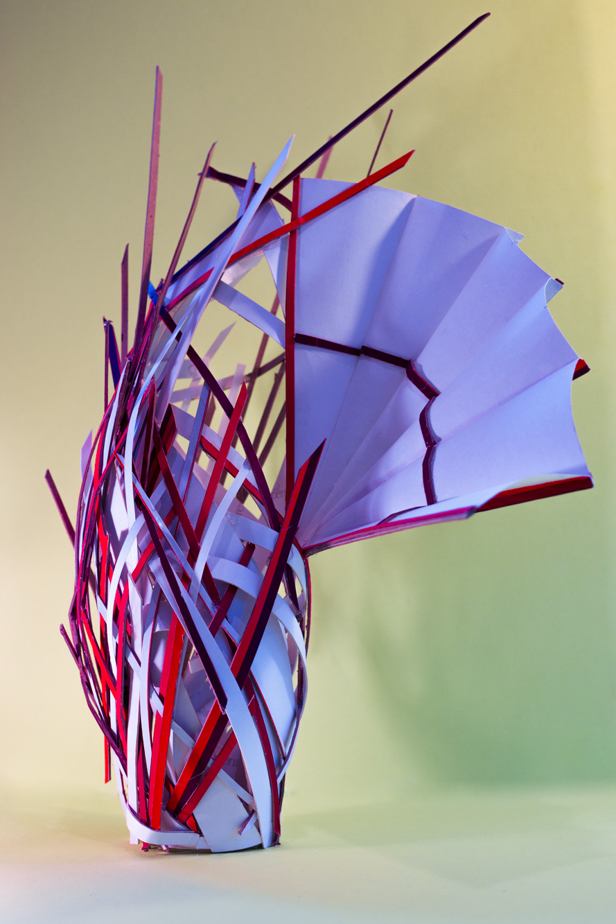 Aurrus Paper Sculpture