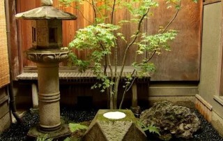 A tsubo-niwa is a type of very small garden in Japan.